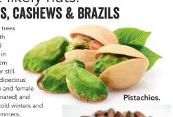  ??  ?? Pistachios.