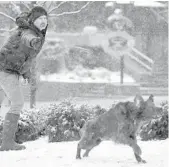  ?? JESSICA HILL/AP ?? Jason Meyers throws a flying disc for his dog Gilroy during a snowstorm on Saturday in Burlington, Vermont. A late-winter storm hammered the Northeast.