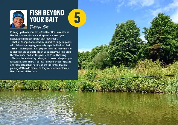 FISH BEYOND YOUR BAIT - PressReader
