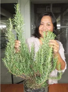  ??  ?? The author and her rosemary.