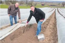  ?? SZ-FOTO: EIS ?? Auf den Feldern von Armin (l.) und Timo Schick beginnt die Spargelern­te bereits in der kommenden Woche.