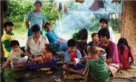  ??  ?? Traditiona­l way of life: The remote Tsimane people, who remarkably do not seem to develop heart disease as they age