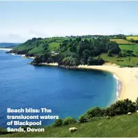  ??  ?? Beach bliss: The translucen­t waters of Blackpool Sands, Devon