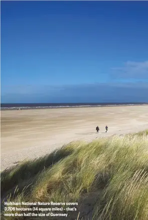  ??  ?? Holkham National Nature Reserve covers 3,706 hectares (14 square miles) – that’s more than half the size of Guernsey