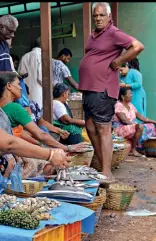  ?? MANDAR DEODHAR ?? BONE OF CONTENTION A fish market in Goa