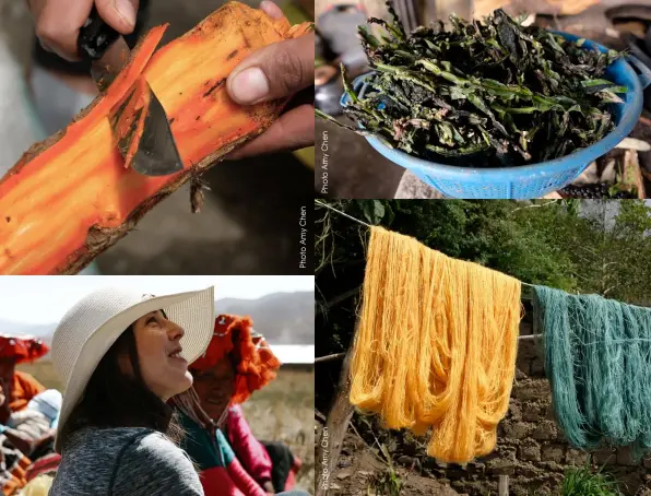  ??  ?? PREVIOUS PAGE Juliana and Matiaza discuss new Threads of Peru designs brought to their community, Rumira Sondormayo. THIS PAGE, CLOCKWISE FROM TOP LEFT: Yanali is another natural dye common in parts of the Cusco region. Its bright orange inner bark produces a rich, mustard yellow colour when dyeing yarn; K'insachucho is one of our favourite natural dye plants, producing shades of teal and turquoise. It's actually a fungus growing on the plant leaves that colours the yarn; Skeins of freshly dyed yarn hang to dry in the yard of Master Weaver Daniel Sonqo's house in Parobamba; Sarah Confer, (Director, Threads of Peru) with the artisans.