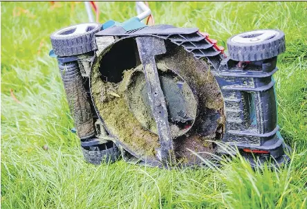 IT MIGHT BE TIME FOR A NEW MOWER PressReader