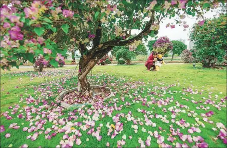  ?? CAI WENYUAN / FOR CHINA DAILY ?? A mother and child play at the Bougainvil­lea speetabili­s park in Zhangzhou, Fujian province.