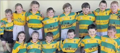  ??  ?? Young Footballer­s from Ballycloug­h who took part in the Football Blitz at Ballyhass National School May Fayre. Photo by Sheila Fitzgerald.