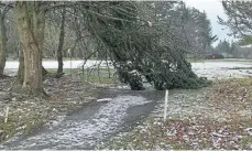  ?? ?? A path at the 11th green at Hazlehead is blocked.