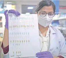  ?? — AFP file photo ?? A researcher holding a sheet with paper strip samples for Covid-19 coronaviru­s tests in New Delhi.
