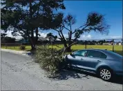  ??  ?? Strong winds Sunday night into Monday morning caused a tree branch to fall on a car on Redwood Drive in Marina.