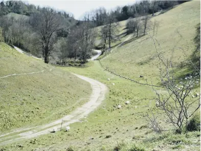  ?? ?? Rural Sussex. Picture by Steve Robards