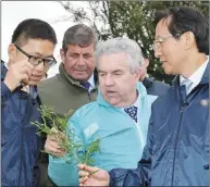  ??  ?? The Chinese Minister for Agricultur­e and Rural Affairs, Mr Han Changfu (right) checking out the quality grass on the Murphy family farm during his visit to Boherbue.