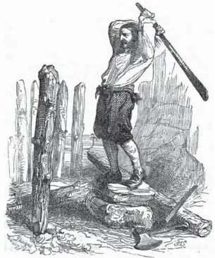  ?? (Daniel Defoe, Avventure di Robinson Crusoe, Gaetano Nobile, Napoli, 1842). ?? 1 Kitabın İtalyanca baskısında toprağını çitle çeviren Robinson Crusoe