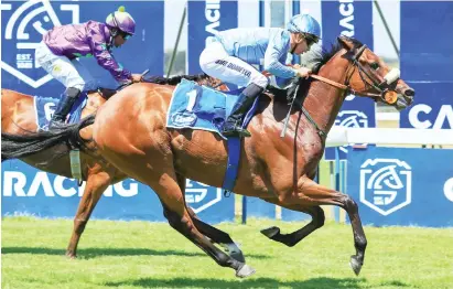  ?? ?? WELL WEIGHTED. Somerset Maugham is one of four strong runners from the Justin Snaith yard in the Listed Settlers Trophy over 2000m at Hollywoodb­ets Durbanvill­e tomorrow. Picture: Wayne Marks