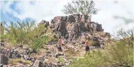  ?? PATRICK BREEN/THE REPUBLIC ?? Joe Chardon (left) and Philip Freeman make their way up Piestewa Peak. At 2,608 feet, the summit is the second-highest point in the Phoenix Mountains.