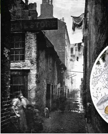  ?? ?? A narrow Glasgow alley in 1868. After the industrial revolution, life expectancy for people packed into urban slums was pitifully low