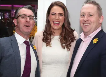  ??  ?? At the Cheltenham lunch in aid of the Irish Cancer Society were Noel Stewart, Karen Van Den Ancker and Donal Watters.