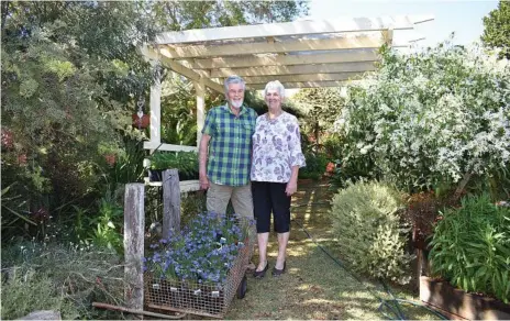  ?? Photos: Contribute­d ?? CHAMPION GARDENERS: Gordon and Maria Reynolds are busy preparing their garden for The Chronicle Garden Competitio­n.