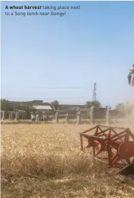  ??  ?? A wheat harvest taking place next to a Song tomb near Gongyi