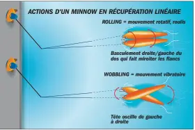  ??  ?? En récupérati­on linéaire, un minnow déclenche un effet de rolling (mouvement de tangage) et/ou de wobbling (mouvement latéral). Un leurre à grande bavette développe essentiell­ement le wobbling.