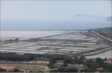  ?? (Photo Laurent Martinat) ?? Le canal de ceinture du salin des Pesquiers joue un rôle de « bouclier » freinant toute pollution éventuelle.