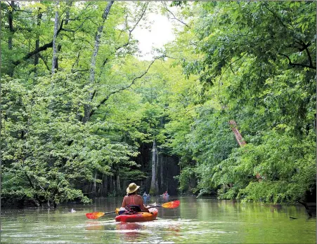  ??  ?? Stacy Price follows paddling buddies onto the Bayou DeView Water Trail, one of the 13 public paddling routes posted by the Arkansas Game and Fish Commission as Arkansas Water Trails.