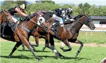  ?? ?? Our Hail Mary, front, is one of two horses trained by Allan Sharrock, inset, that may be competing in her last race today.