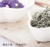  ??  ?? 覆盆子葉。(作者提供)