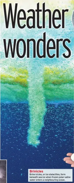  ??  ?? Brinicles Brine icicles, or ice stalactite­s, form beneath sea ice when frozen polar saline water enters a neighbouri­ng ocean.