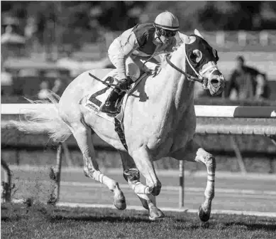  ?? BENOIT & ASSOCIATES ?? Calculator, under Flavien Prat, scores a front-running victory in the Clockers Corner on Jan. 28.