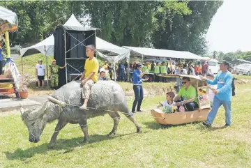  ??  ?? Hasbi and a boy enjoy a ride inside a small ‘kuntul’, being pulled by a buffalo.