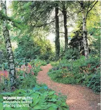  ??  ?? WONDERFULT­he woodlands looked after by the NTS