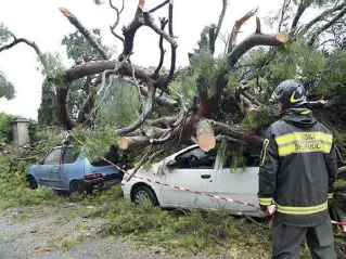  ??  ?? In prima lineaUn vigile del fuoco impegnato in uno dei tanti interventi dei giorni scorsi di alberi caduti sulle auto. In questo caso siamo in via Aurelia