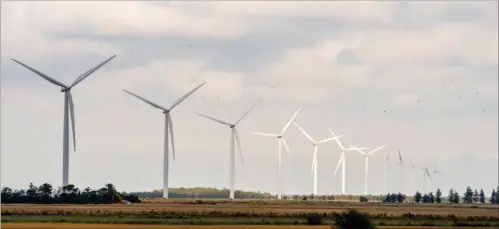  ?? FOTO: RENÉ SCHÜTZE ?? 900Der skal bygges vindmøller på land og til havs for at opfylde it-giganterne­s energibeho­v.