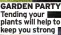  ??  ?? GARDEN PARTY Tending your plants will help to keep you strong