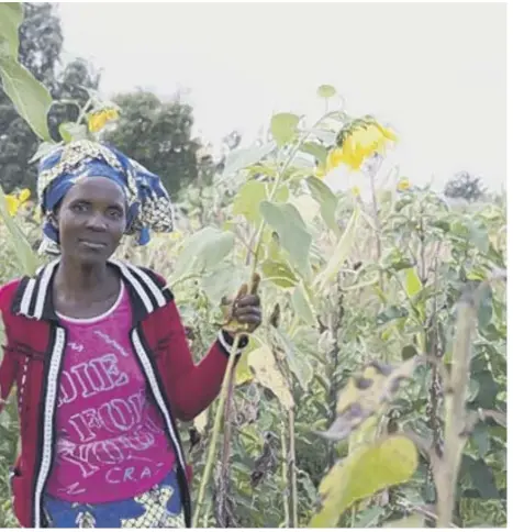  ??  ?? 0 Farmers in Burundi are forging ahead, but they need Scots’ help