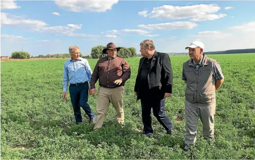  ?? WASHINGTON POST ?? Afrikaner Leon du Toit, his son Johannes du Toit, Vladimir Poluboyare­nko, aide to the Stavropol government, and Mikhail Baranov, general director of the ‘‘Rodina’’ dairy farm, walk across the alfalfa fields in Kosyakovo, 100km southeast of Moscow.