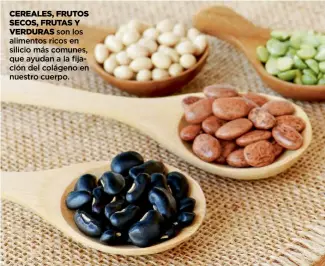  ??  ?? CEREALES, FRUTOS SECOS, FRUTAS Y
VERDURAS son los alimentos ricos en silicio más comunes, que ayudan a la fijación del colágeno en nuestro cuerpo.