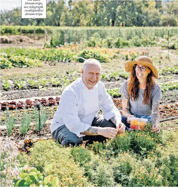  ??  ?? For more Dream trips, see: telegraph. co.uk/guides/ dream-trips
Pick of the crop: SingleThre­ad chef Kyle Connaughto­n and his wife, Katina, on their restaurant’s farm in Healdsburg, California