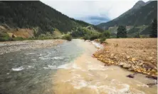  ?? Theo Stroomer / Getty Images ?? Cement Creek, which was flooded with millions of gallons of mining wastewater, meets the Animas River in Silverton, Colo. Toxic waste threatens water supplies in at least three states.