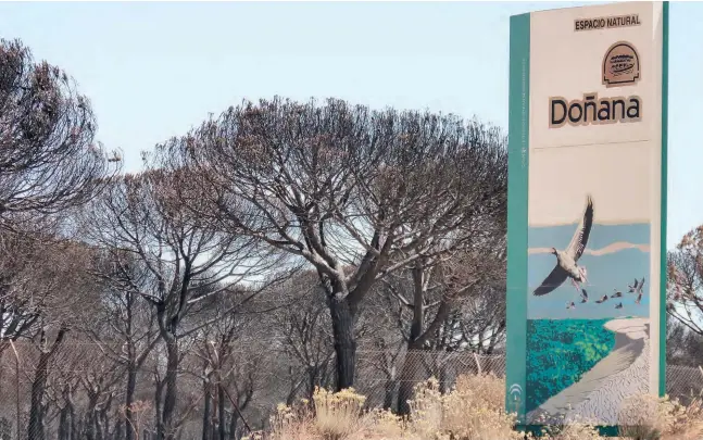  ?? Fotos: Wiltrud Schwetje ?? Überall das gleiche Bild, der Naturpark Doñana hat sich ein schwarzes Trauerklei­d übergezoge­n.