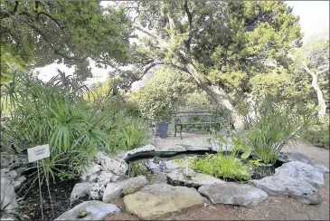  ?? RALPH BARRERA PHOTOS / AMERICAN-STATESMAN ?? With herbs flowering continuous­ly, the educationa­l gardens at Case Mill Homestead are one reason to visit this historical home and grounds at 6200 Manor Road.