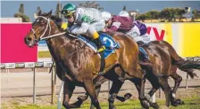  ?? Picture: JERAD WILLIAMS ?? Auerbach, ridden by Craig Franklin, takes out Race 4 at the Coast Turf Club on Saturday. Gold