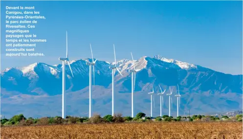  ??  ?? Devant le mont Canigou, dans les Pyrénées-Orientales, le parc éolien de Rivesaltes. Ces magnifique­s paysages que le temps et les hommes ont patiemment construits sont aujourd’hui balafrés.