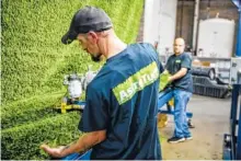  ?? CONTRIBUTE­D PHOTO ?? AstroTurf employees work at the company’s Dalton, Ga., facility. The business is consolidat­ing manufactur­ing at one site.