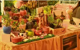  ??  ?? Greenfield City’s Weekend Market will showcase, in the tenant mix, items that Laguna is known for such as decorative plants.