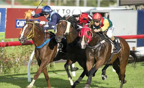  ?? PHOTO: NEV MADSEN ?? ROUNDING THEM UP: Teeroys Tribute (outside) makes a winning return to racing at Clifford Park two weeks ago.