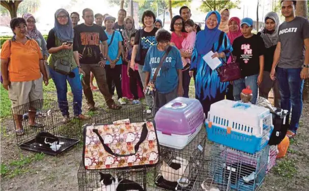  ??  ?? PENCINTA haiwan bersama kucing terbiar yang ditangkap di Dataran Tanjung Emas, Muar.